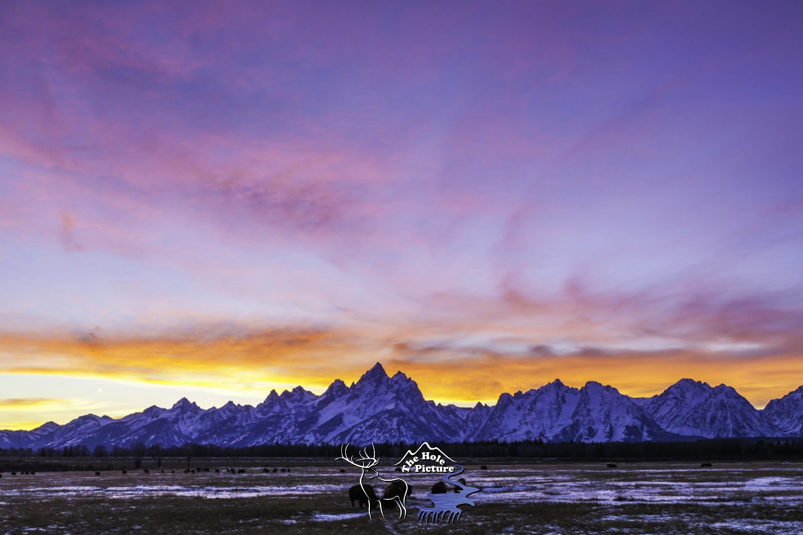 Buffalo Sunset
