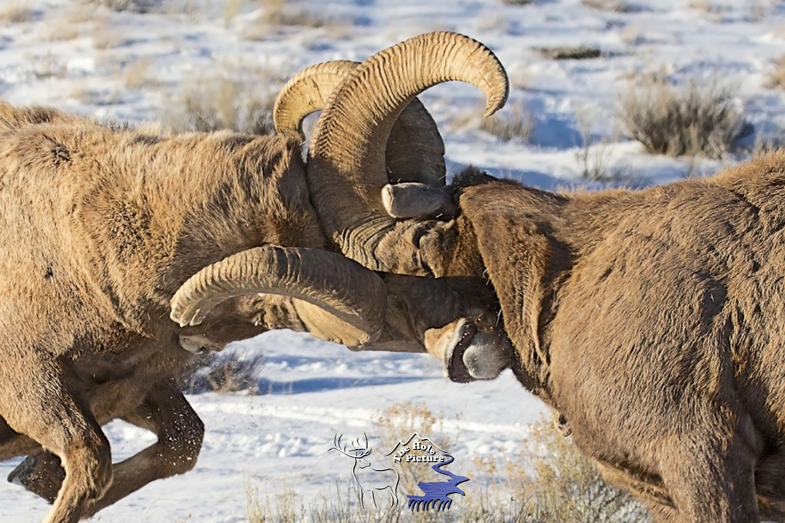 Decisive Moment
