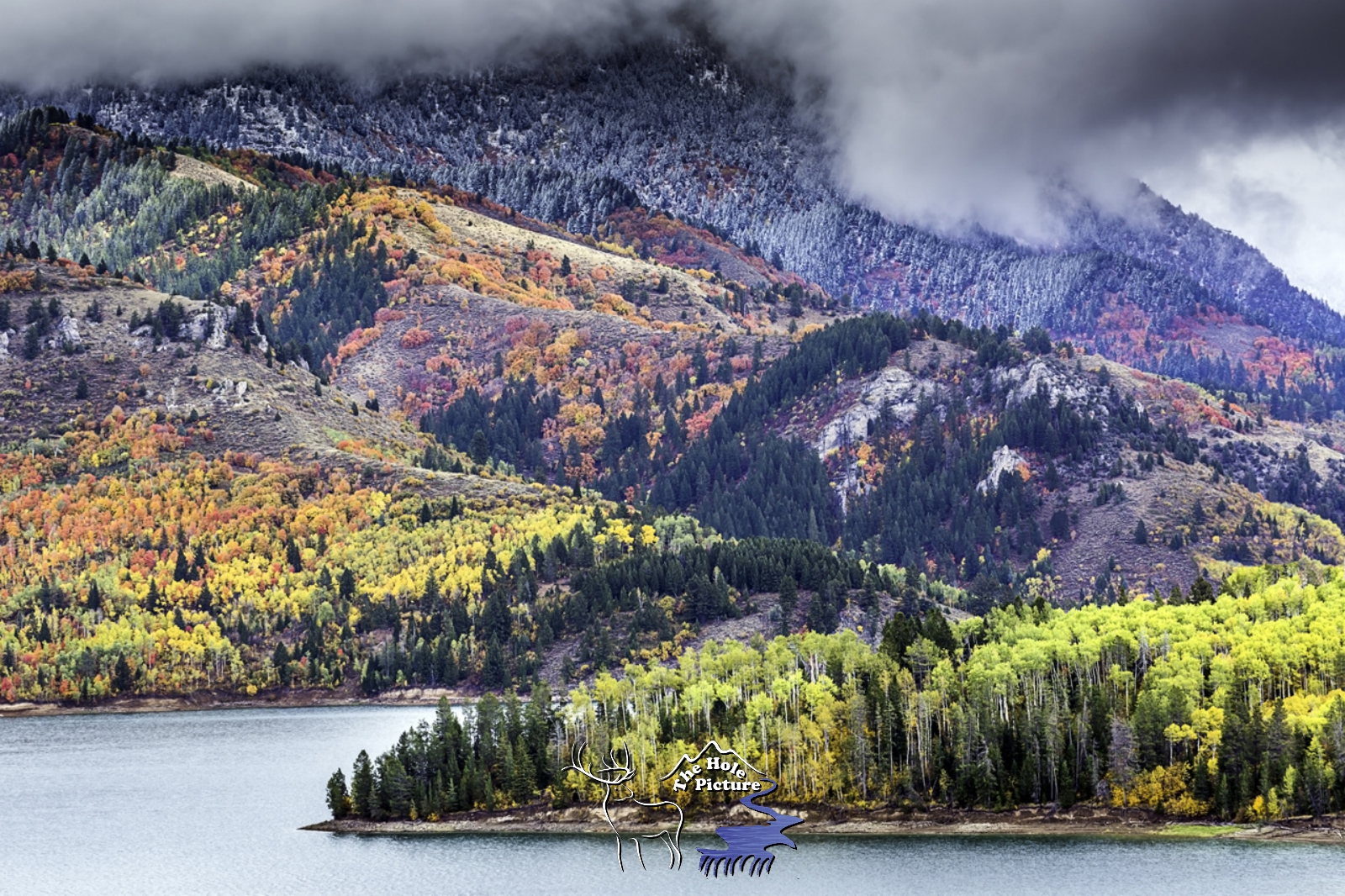 Swan Valley Autumn