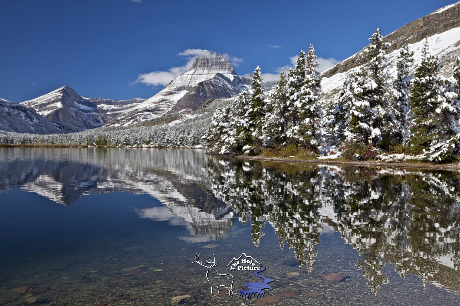 Winter Reflections